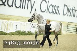 24R13_00136 thumbnail