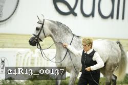 24R13_00137 thumbnail