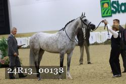 24R13_00138 thumbnail
