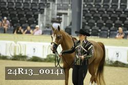 24R13_00141 thumbnail