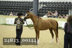 24R13_00144 thumbnail