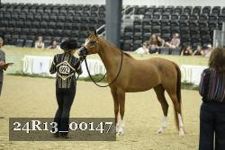 24R13_00147 thumbnail