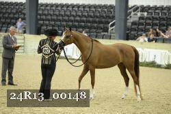 24R13_00148 thumbnail