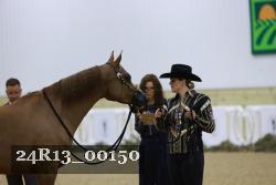 24R13_00150 thumbnail