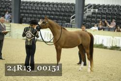24R13_00151 thumbnail