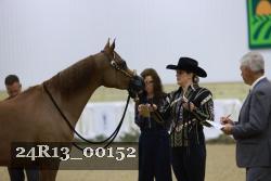 24R13_00152 thumbnail