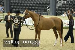 24R13_00153 thumbnail