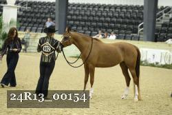 24R13_00154 thumbnail