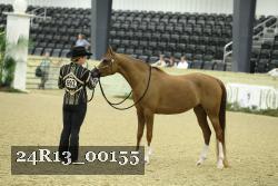 24R13_00155 thumbnail