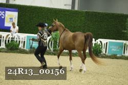 24R13_00156 thumbnail