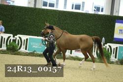 24R13_00157 thumbnail