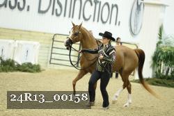 24R13_00158 thumbnail