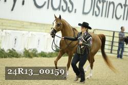 24R13_00159 thumbnail