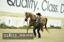 24R13_00160 thumbnail