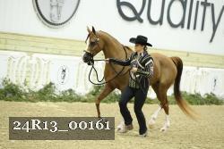 24R13_00161 thumbnail