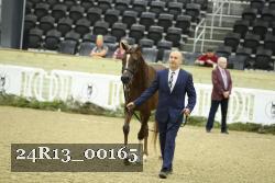 24R13_00165 thumbnail