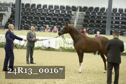 24R13_00167 thumbnail
