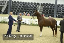 24R13_00168 thumbnail