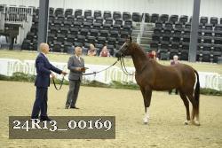 24R13_00169 thumbnail