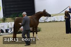 24R13_00171 thumbnail