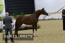 24R13_00172 thumbnail