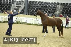 24R13_00174 thumbnail
