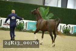 24R13_00176 thumbnail