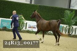 24R13_00177 thumbnail