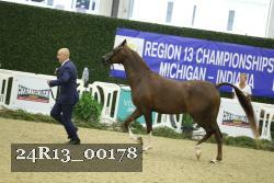 24R13_00178 thumbnail
