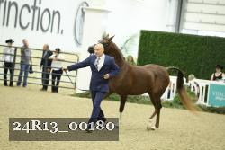24R13_00180 thumbnail