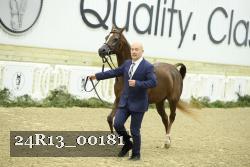 24R13_00181 thumbnail
