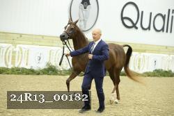 24R13_00182 thumbnail