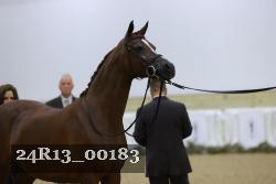 24R13_00183 thumbnail