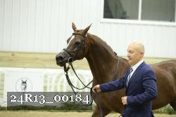 24R13_00184 thumbnail