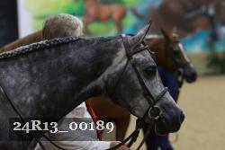 24R13_00189 thumbnail