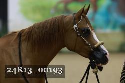 24R13_00193 thumbnail