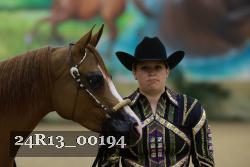 24R13_00194 thumbnail