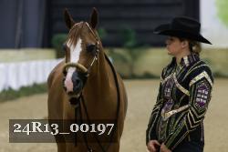 24R13_00197 thumbnail
