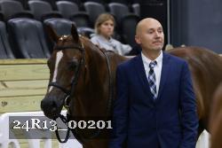 24R13_00201 thumbnail