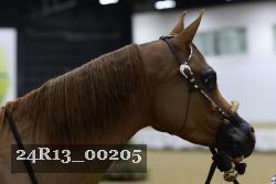 24R13_00205 thumbnail