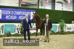 24R13_00207 thumbnail