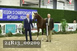 24R13_00209 thumbnail