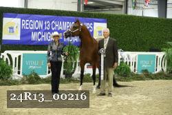24R13_00216 thumbnail