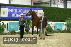 24R13_00217 thumbnail