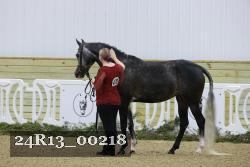 24R13_00218 thumbnail