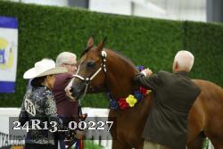 24R13_00227 thumbnail