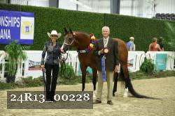 24R13_00228 thumbnail