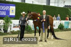 24R13_00229 thumbnail