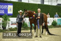 24R13_00230 thumbnail