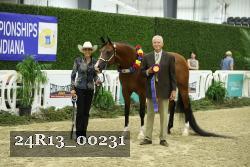 24R13_00231 thumbnail